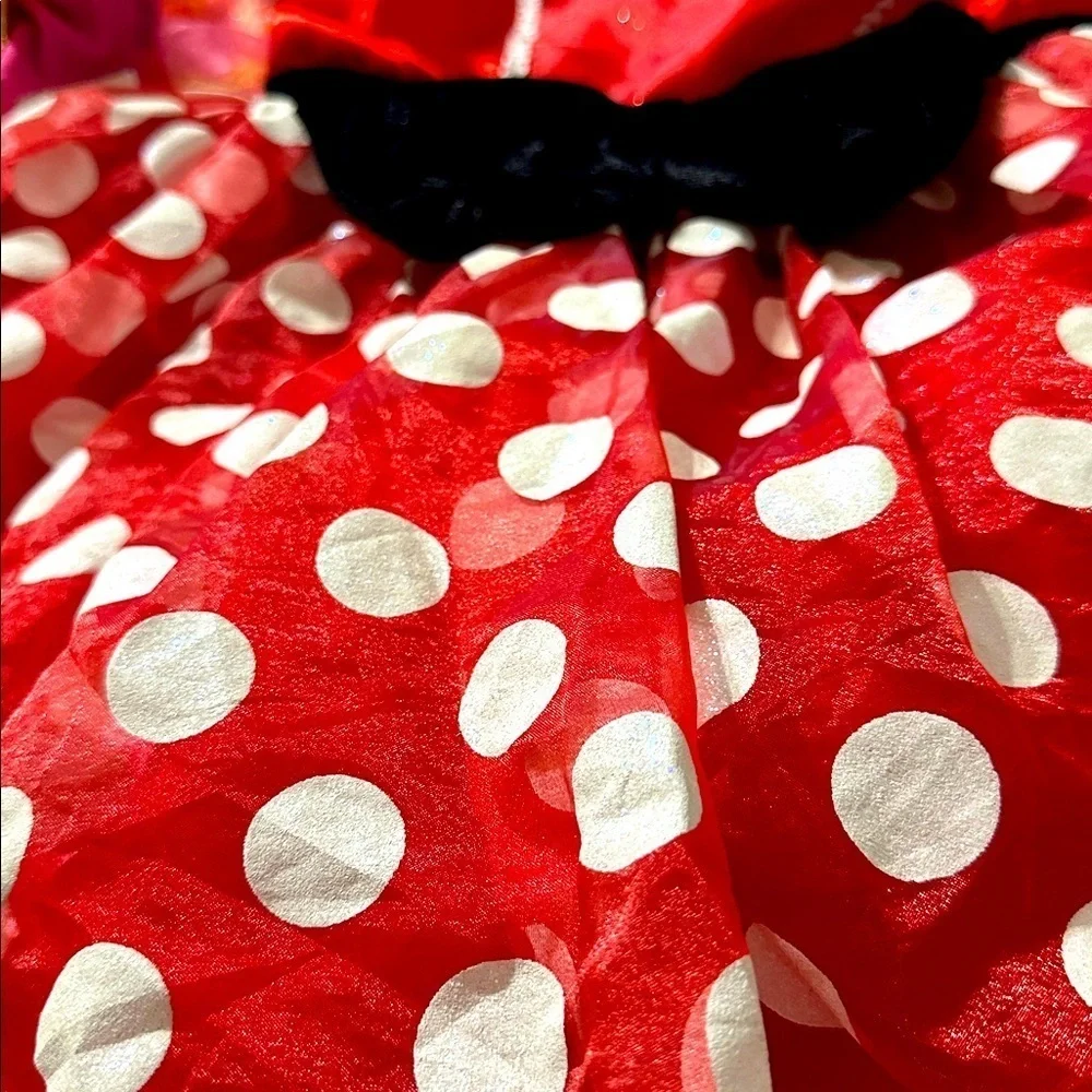 Minnie mouse costume